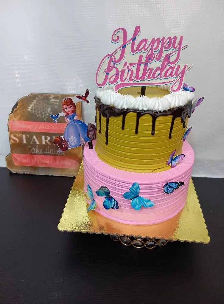 Princess themed tiered birthday cake by Stark’s Cake House in Turkana